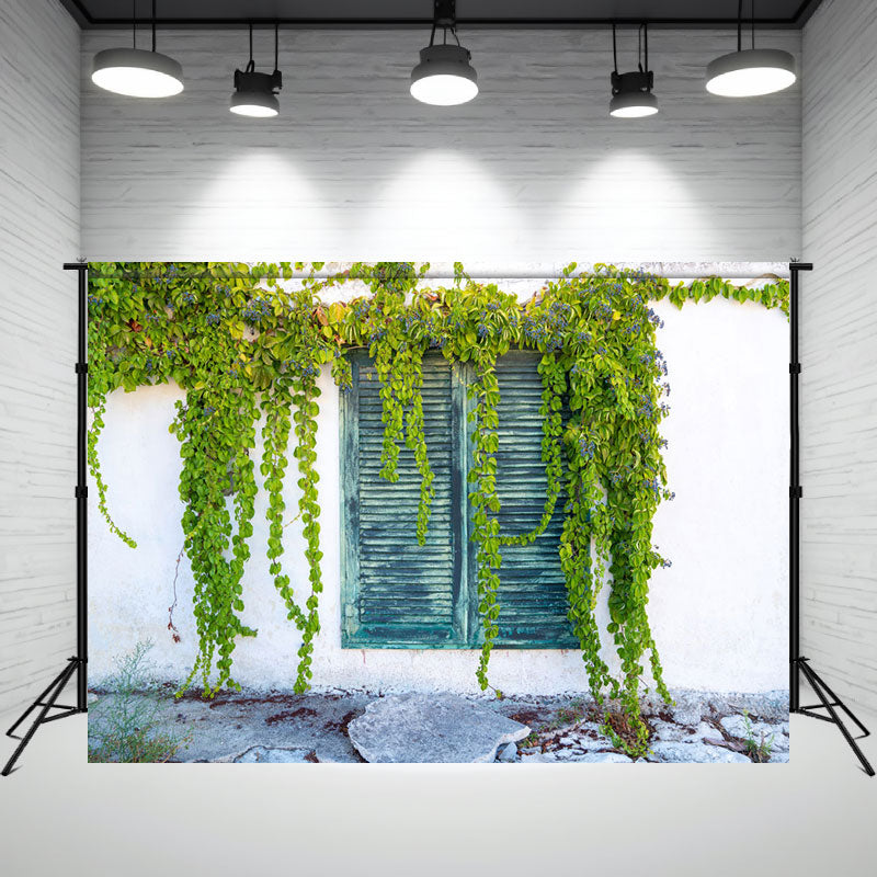 White Wall Window Vine Photography Backdrop - Layoris