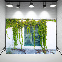 White Wall Window Vine Photography Backdrop - Layoris