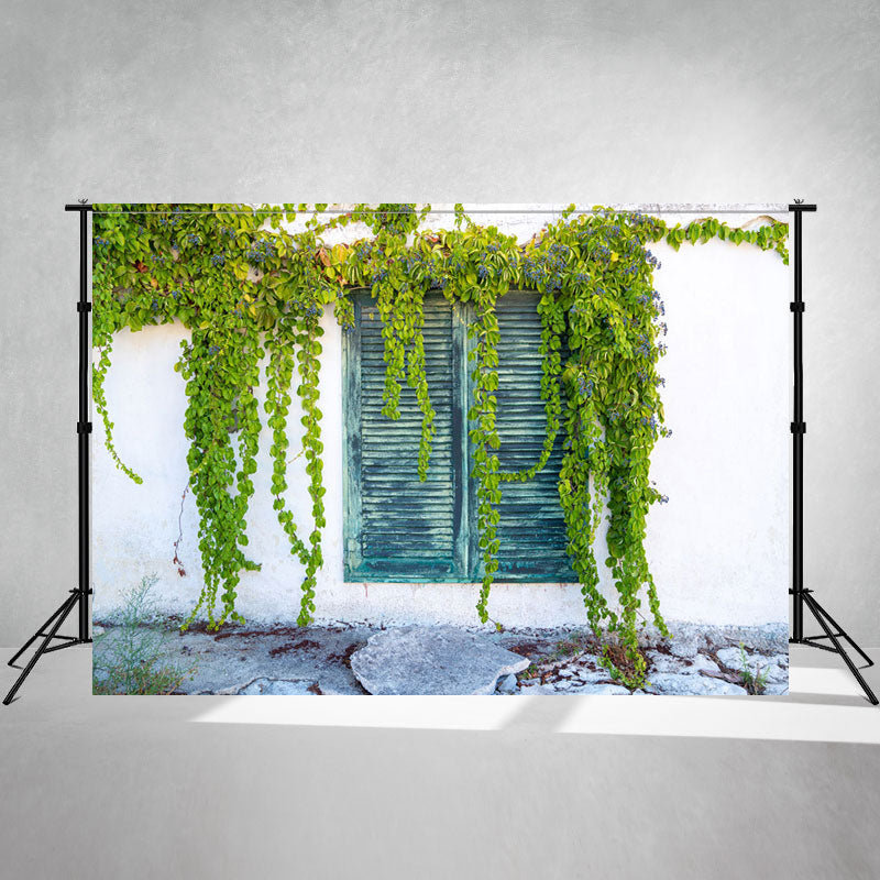 White Wall Window Vine Photography Backdrop - Layoris
