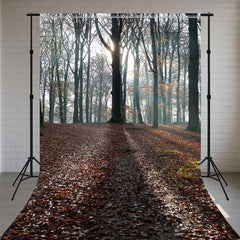 Autumn Forest Fallen Leaves Ground Sweep Backdrop - Layoris