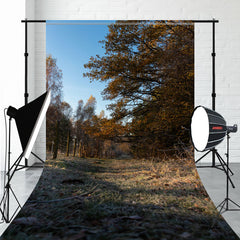 Redwood Forest And Fallen Leaves Sweep Backdrop - Layoris