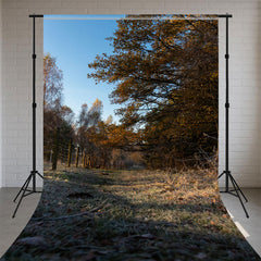 Redwood Forest And Fallen Leaves Sweep Backdrop - Layoris