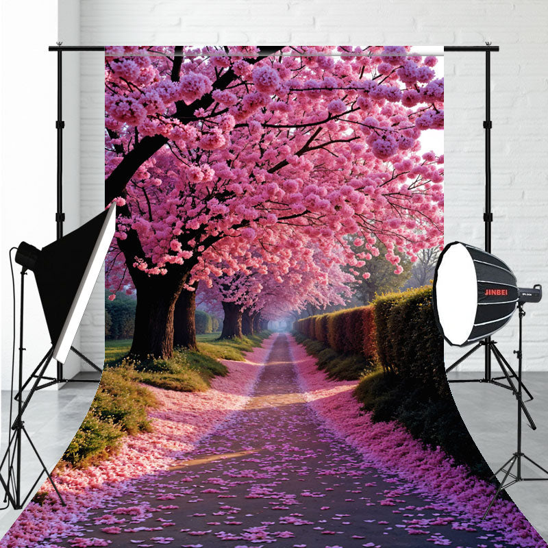 A Row Of Blooming Trees And A Road Sweep Backdrop - Layoris