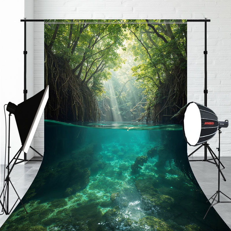 The Lake Depths And The Woods Sweep Backdrop - Layoris