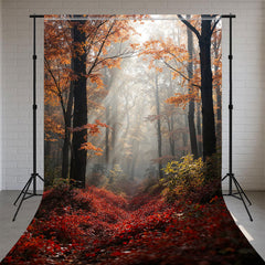 Autumn Sunshine On The Mangroves Sweep Backdrop - Layoris