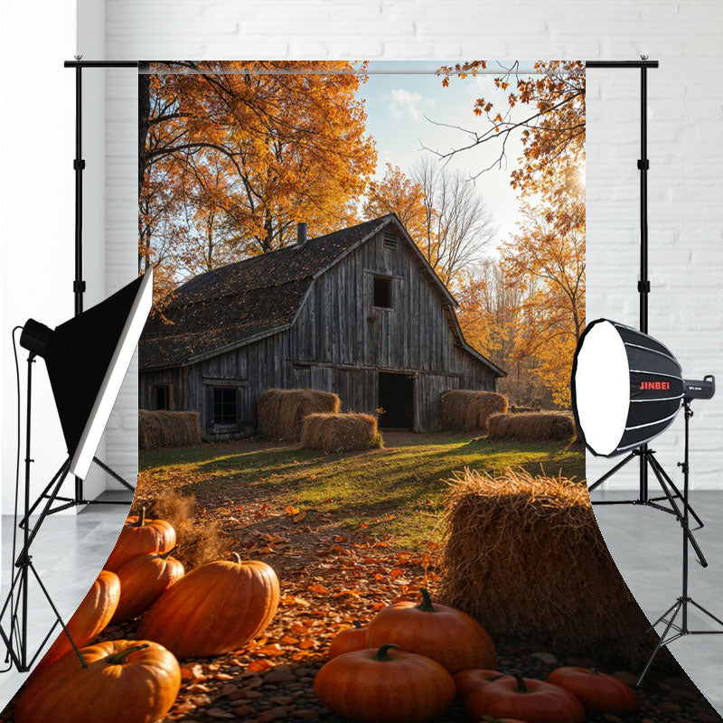 Wooden House In The Woods And Pumpkin Sweep Backdrop - Layoris