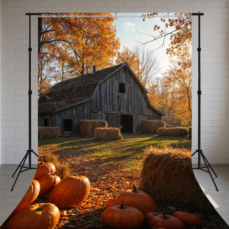 Wooden House In The Woods And Pumpkin Sweep Backdrop - Layoris