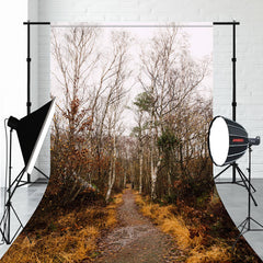 Leafless Trees And Roads Autumn Sweep Backdrop - Layoris
