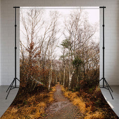Leafless Trees And Roads Autumn Sweep Backdrop - Layoris