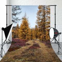 Autumn Golden Pine Forest Sweep Photo Backdrop - Layoris