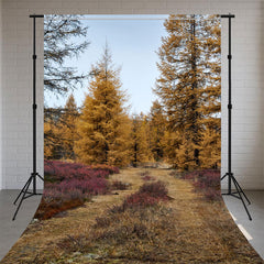 Autumn Golden Pine Forest Sweep Photo Backdrop - Layoris