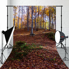 Deciduous Forest Autumn Sweep Photography Backdrop - Layoris
