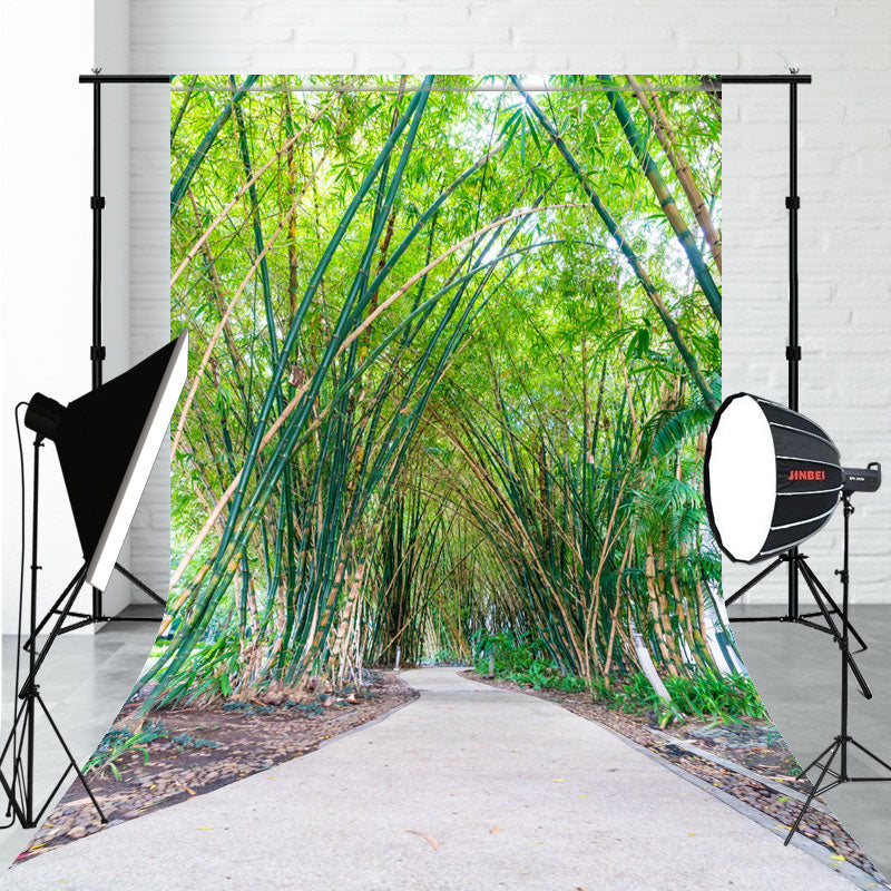 Bamboo Forest And Cement Road Sweep Backdrop - Layoris