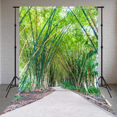 Bamboo Forest And Cement Road Sweep Backdrop - Layoris