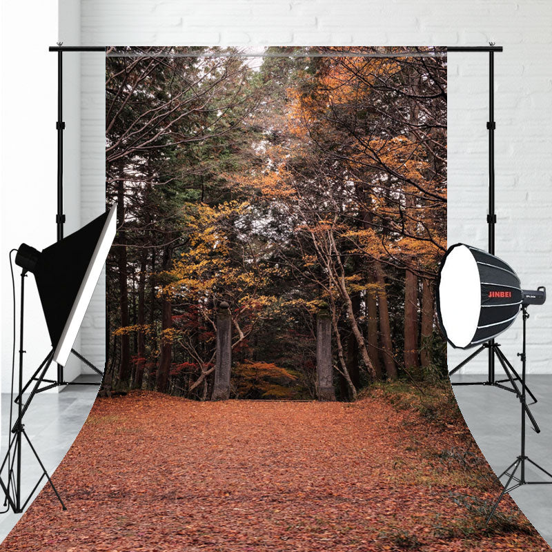 Autumn Leaves And Forest Sweep Photo Backdrop - Layoris