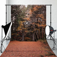 Autumn Leaves And Forest Sweep Photo Backdrop - Layoris