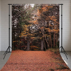 Autumn Leaves And Forest Sweep Photo Backdrop - Layoris