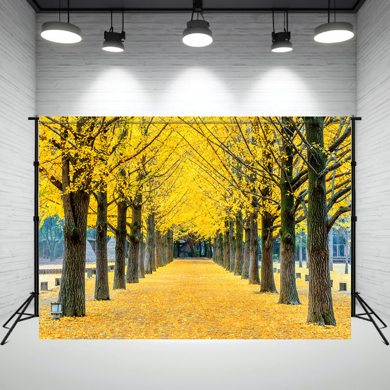 Yellow Leaf Trees And Deciduous Land Photo Backdrop - Layoris