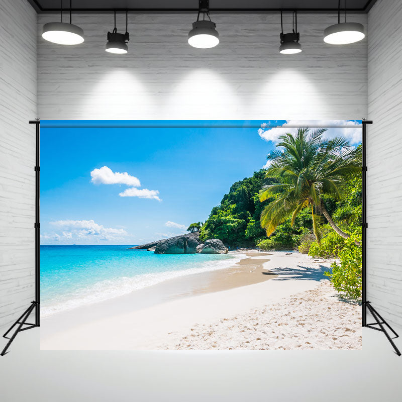 Summer Beach Coconut Trees Scenery Photo Backdrop - Layoris