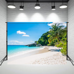 Summer Beach Coconut Trees Scenery Photo Backdrop - Layoris