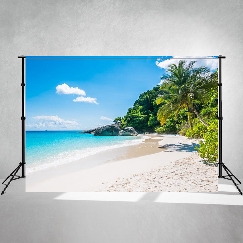 Summer Beach Coconut Trees Scenery Photo Backdrop - Layoris