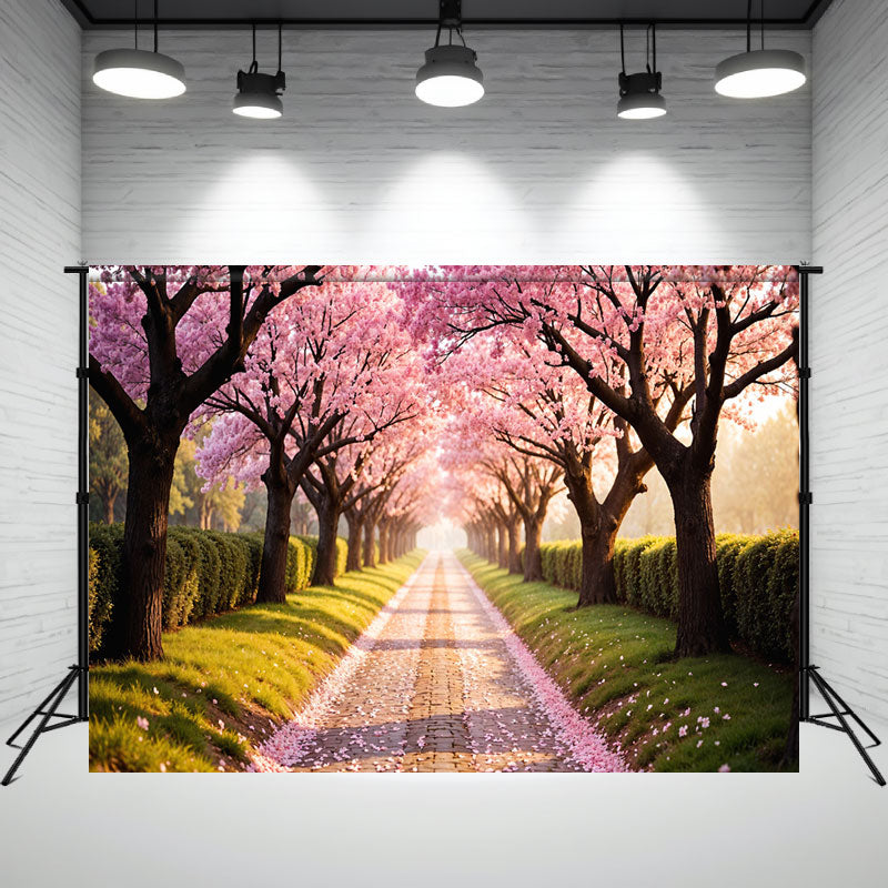 Endless Pink Cherry Blossom Trees Photo Backdrop - Layoris