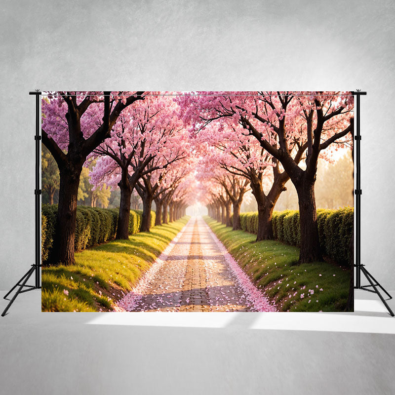 Endless Pink Cherry Blossom Trees Photo Backdrop - Layoris