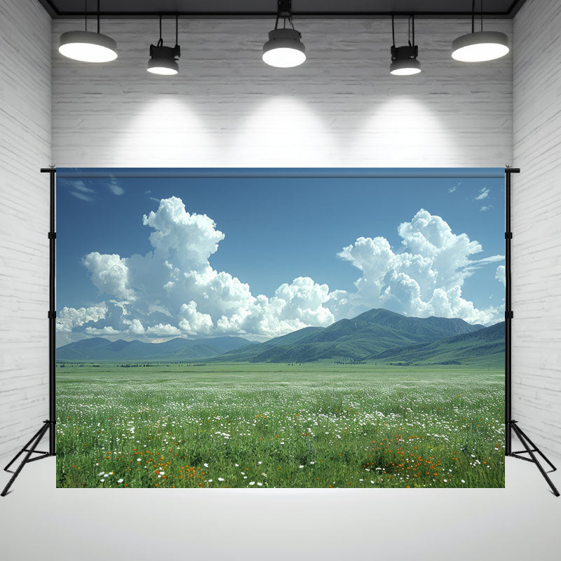 Wildflowers Meadow Mountain Scenery Photo Backdrop - Layoris