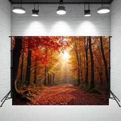 Sunlight Shines On The Red Maple Forest Backdrop - Layoris