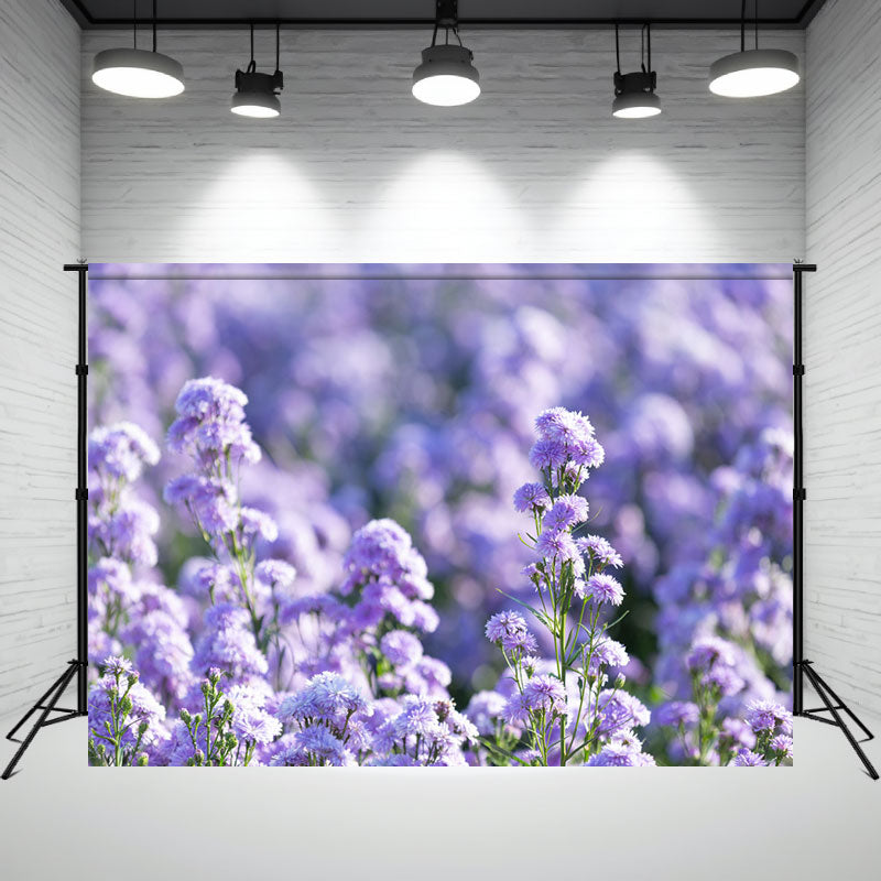 Purple Flowers Landscape Portrait Photo Backdrop - Layoris