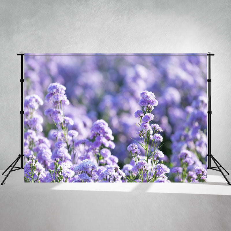 Purple Flowers Landscape Portrait Photo Backdrop - Layoris