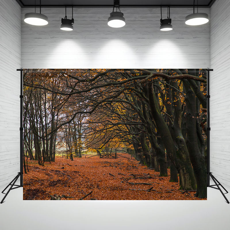 Autumn Deciduous Forest Portrait Photo Backdrop - Layoris