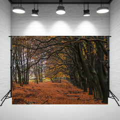 Autumn Deciduous Forest Portrait Photo Backdrop - Layoris