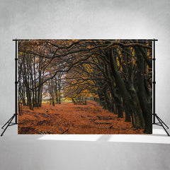 Autumn Deciduous Forest Portrait Photo Backdrop - Layoris