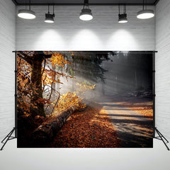 Sunlight In The Autumn Forest Studio Backdrop - Layoris