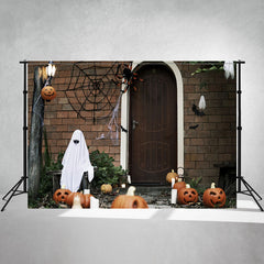 Spooky Spider Web Pumpkin Halloween Photo Backdrop - Layoris