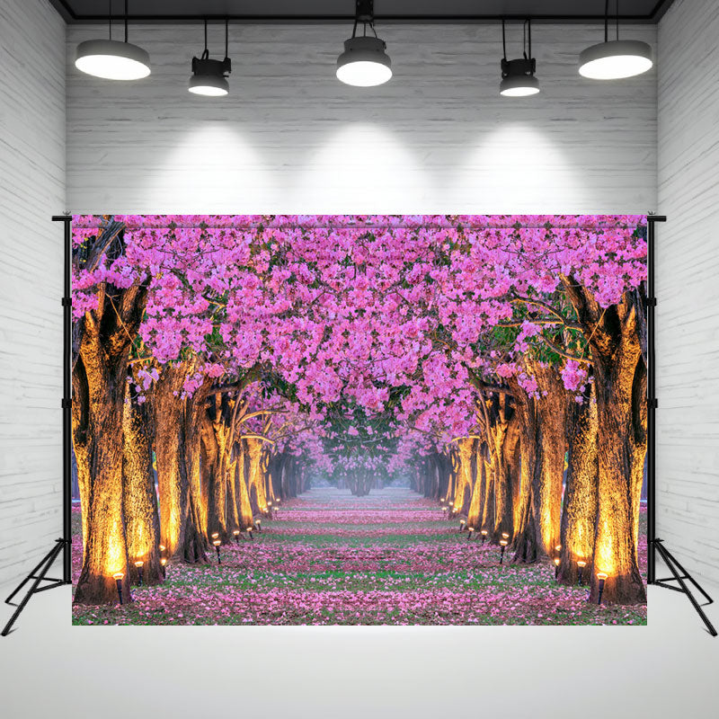 Pink Flower Tree Illuminated By Street Lamp Backdrop - Layoris