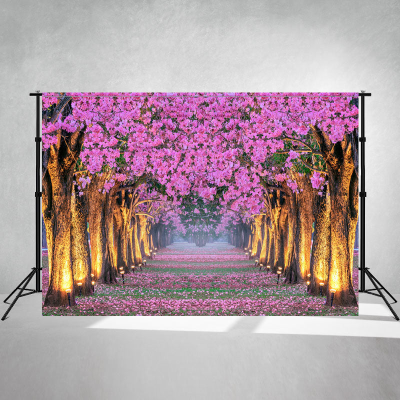 Pink Flower Tree Illuminated By Street Lamp Backdrop - Layoris