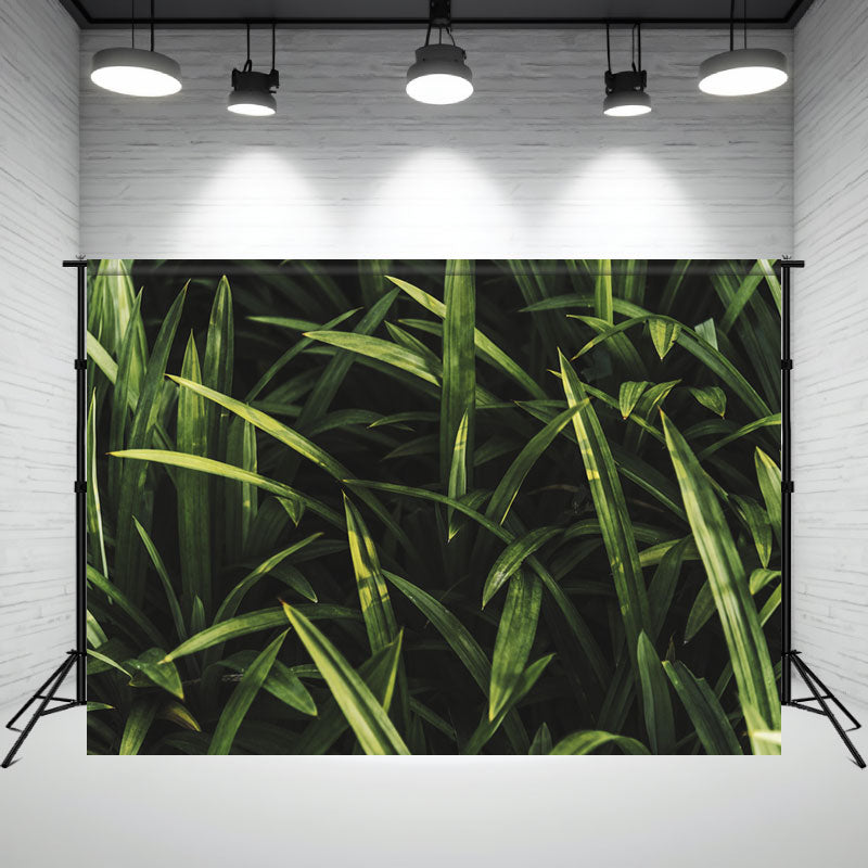 Lush Grassland Portrait Photography Backdrop - Layoris
