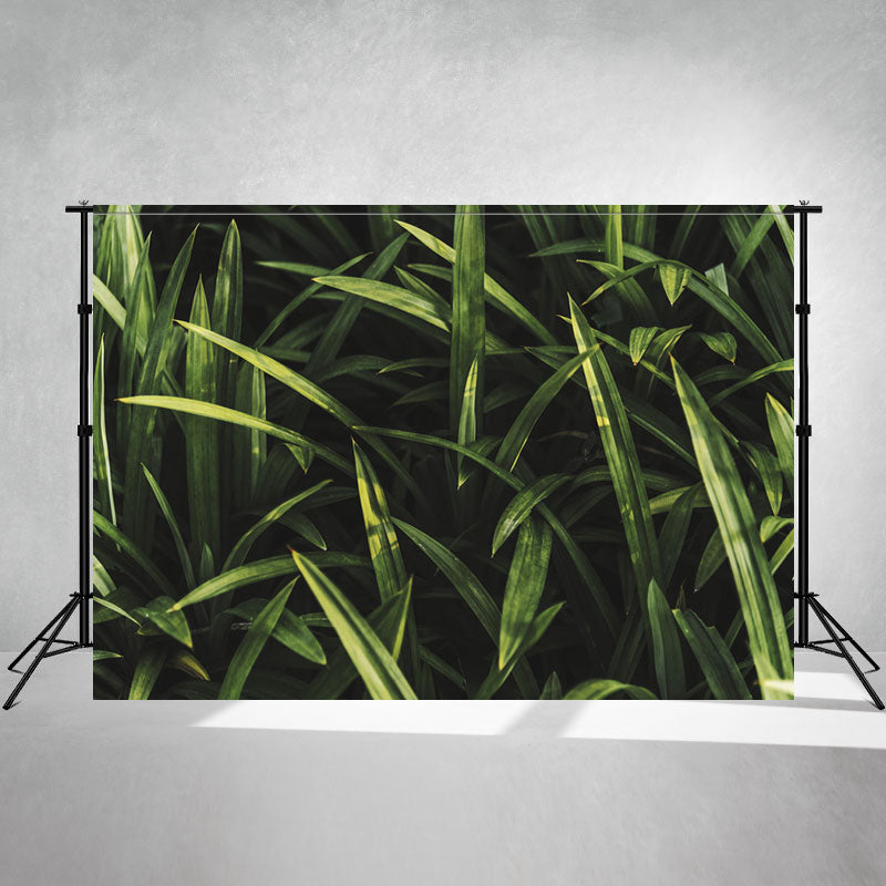 Lush Grassland Portrait Photography Backdrop - Layoris