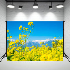 Blooming Rapeseed Flowers Landscape Backdrop - Layoris