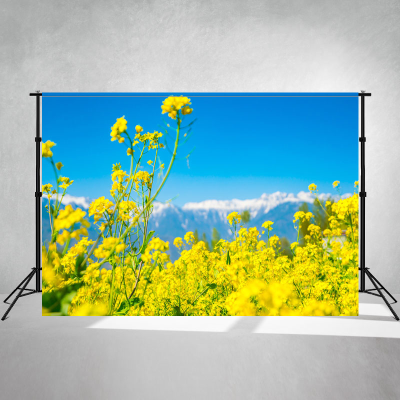 Blooming Rapeseed Flowers Landscape Backdrop - Layoris