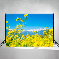Blooming Rapeseed Flowers Landscape Backdrop - Layoris