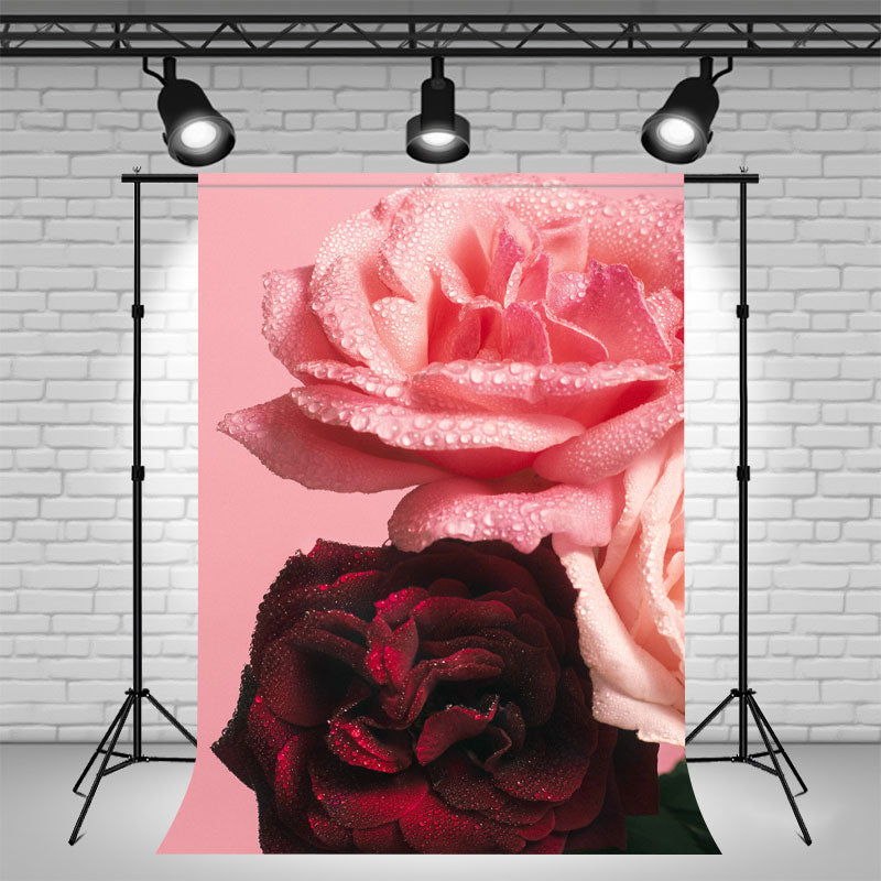 Pink And Crimson Roses Ladies Photo Backdrop - Layoris