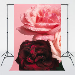 Pink And Crimson Roses Ladies Photo Backdrop - Layoris