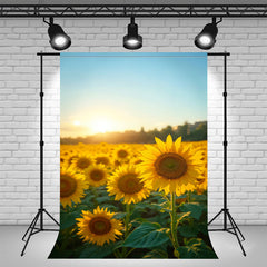 Blooming Sunflowers Landscape Photography Backdrop - Layoris