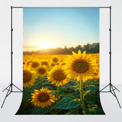 Blooming Sunflowers Landscape Photography Backdrop - Layoris