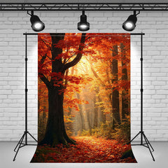 Sunlight In The Mangroves Autumn Photo Backdrop - Layoris