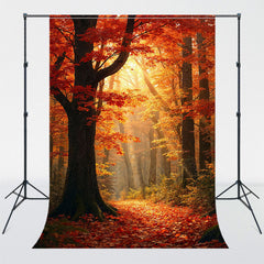Sunlight In The Mangroves Autumn Photo Backdrop - Layoris