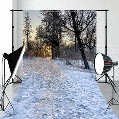 Winter Forest Snow Sweep Photography Backdrop - Layoris